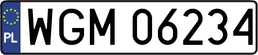 WGM06234