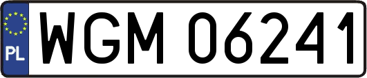 WGM06241