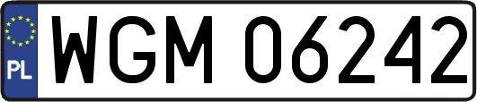 WGM06242