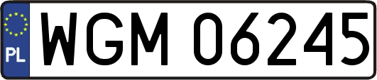WGM06245