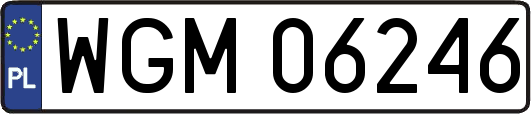 WGM06246