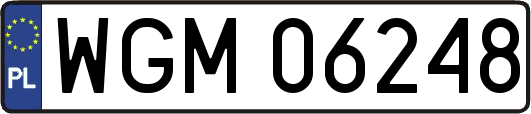 WGM06248