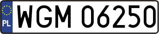 WGM06250
