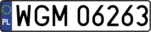 WGM06263