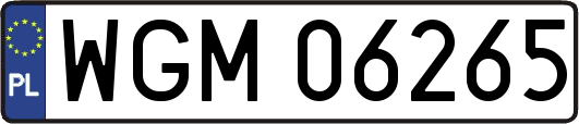 WGM06265
