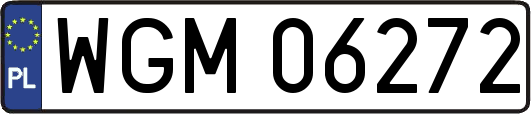 WGM06272