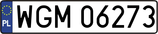 WGM06273