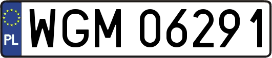 WGM06291