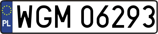 WGM06293