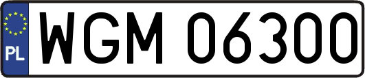 WGM06300