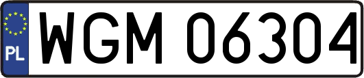WGM06304
