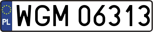 WGM06313