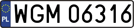 WGM06316