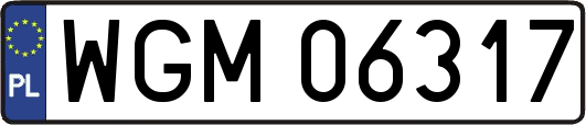 WGM06317