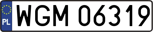 WGM06319