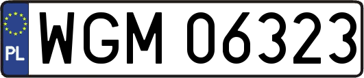 WGM06323