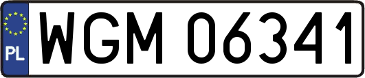 WGM06341