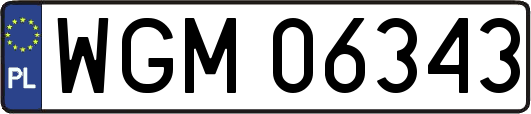 WGM06343