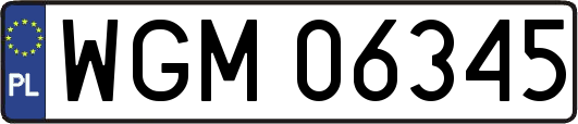 WGM06345