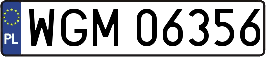 WGM06356