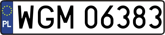 WGM06383