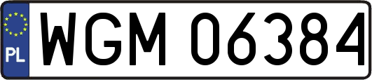 WGM06384