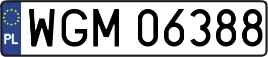 WGM06388