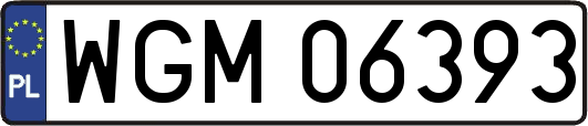 WGM06393