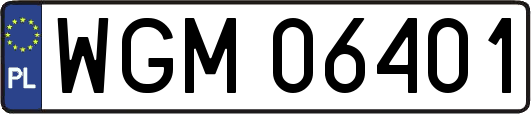 WGM06401