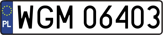 WGM06403