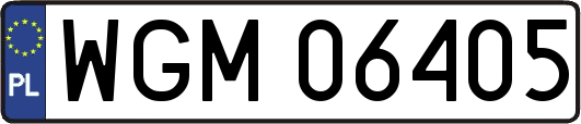 WGM06405