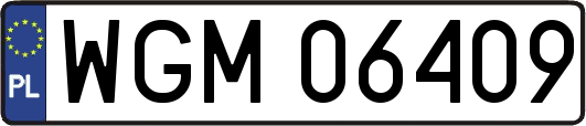WGM06409