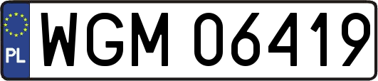 WGM06419