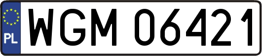 WGM06421