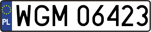 WGM06423