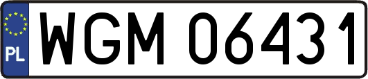 WGM06431