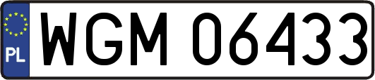 WGM06433