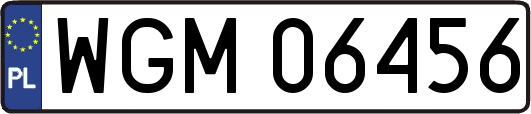 WGM06456