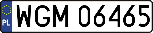 WGM06465