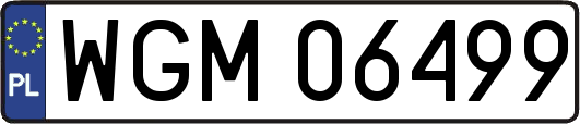 WGM06499