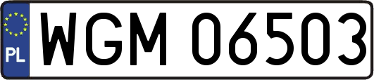 WGM06503