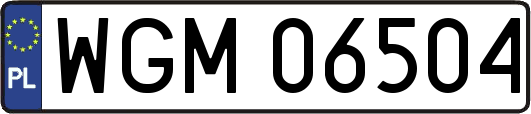WGM06504