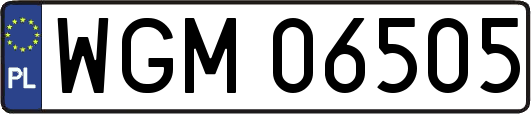 WGM06505