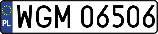 WGM06506
