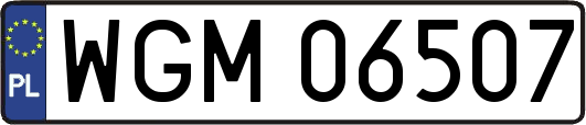 WGM06507