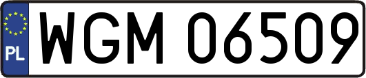 WGM06509