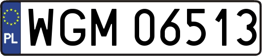 WGM06513