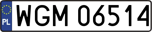 WGM06514