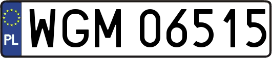 WGM06515