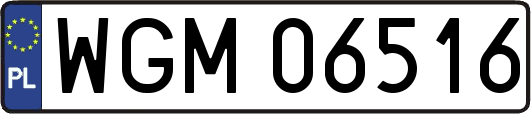WGM06516